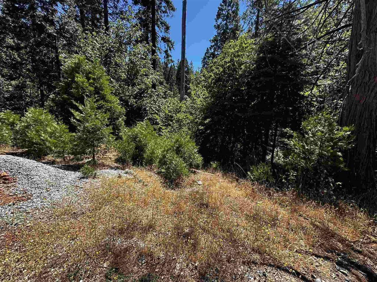 Sonora, CA 95370,17073 E Brookside