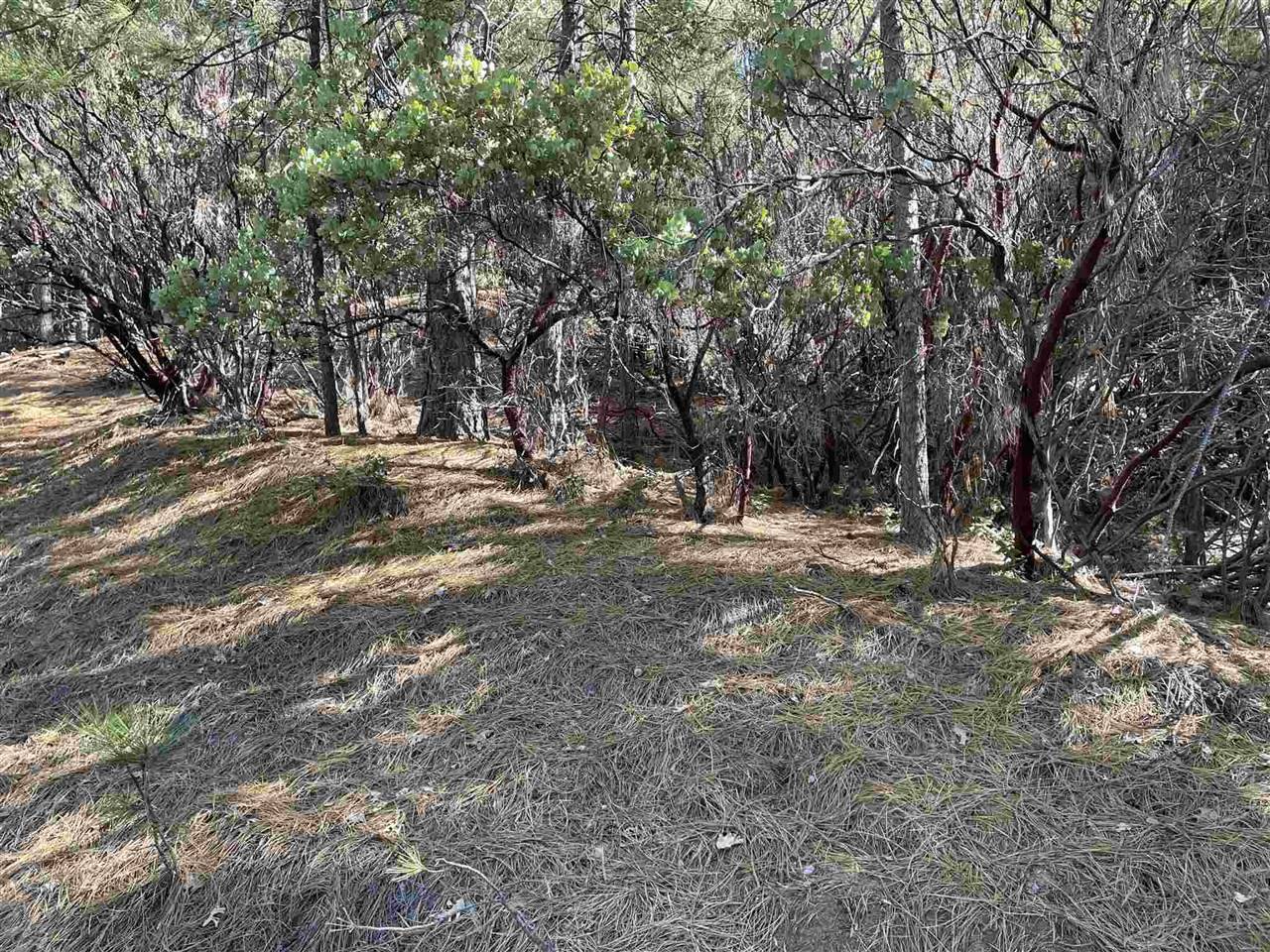 Sonora, CA 95370,0001 Stable