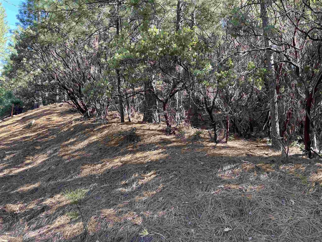 Sonora, CA 95370,0001 Stable