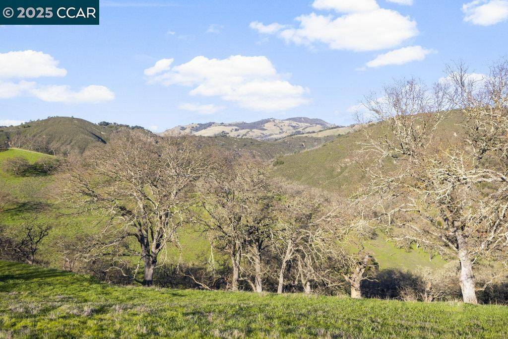 Diablo, CA 94528,2300 Caballo Ranchero Dr