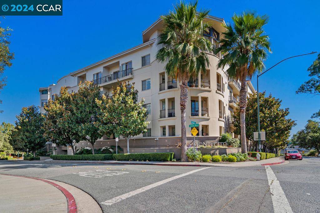 Walnut Creek, CA 94596,1315 Alma Ave #251