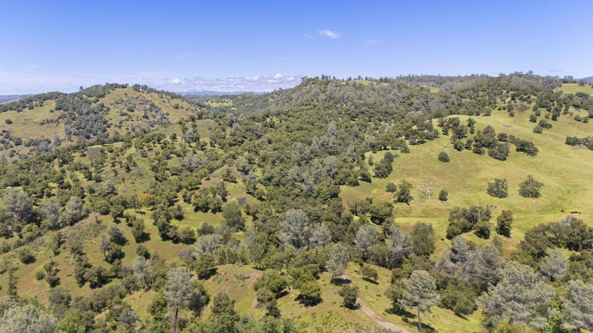 Sonora, CA 95370,9082 Fraguro