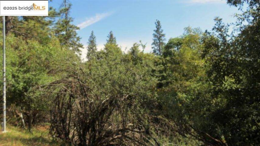Sonora, CA 95370,16643 Sallander Drive