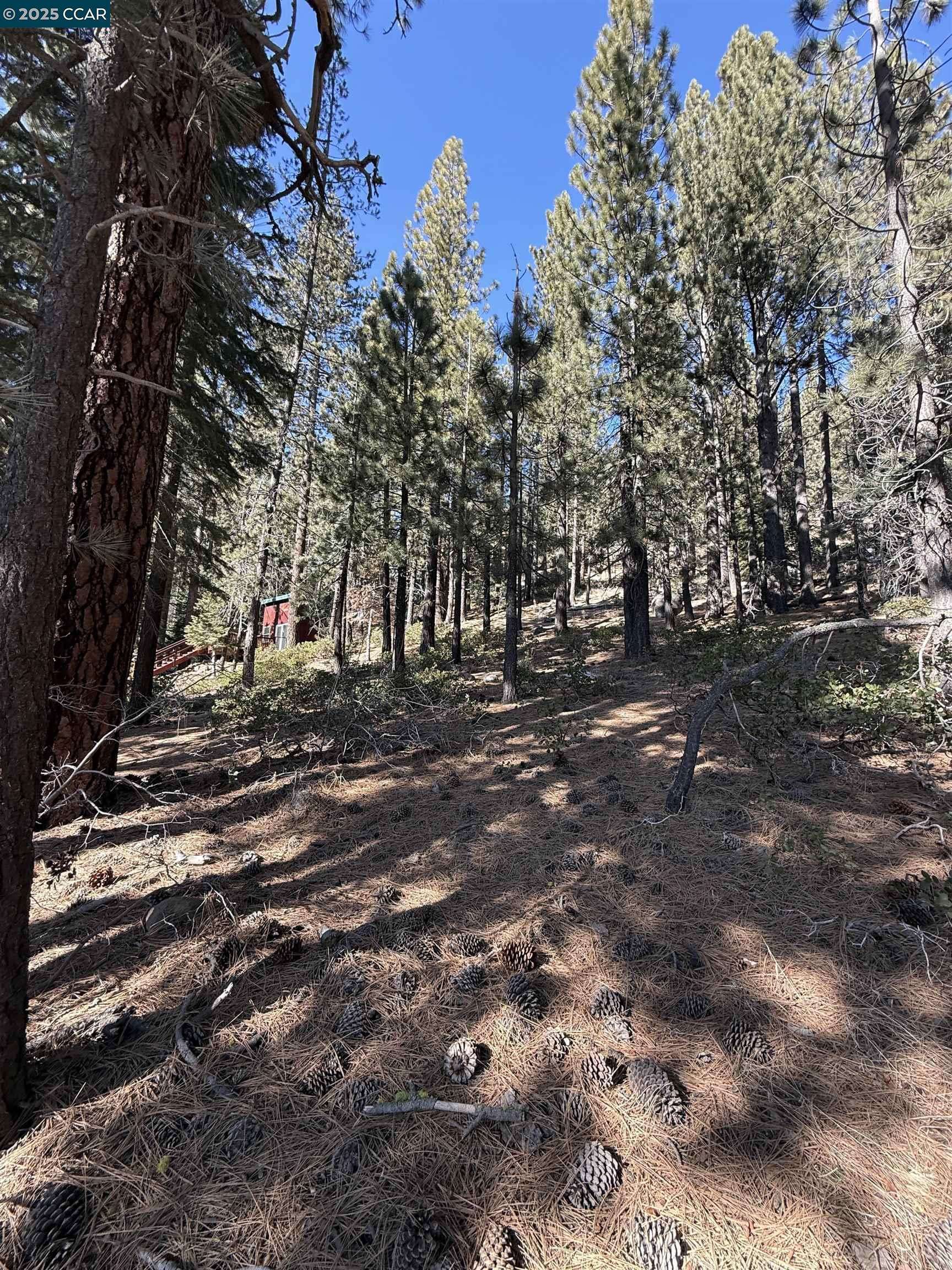 Truckee, CA 96161,12442 Richards Blvd