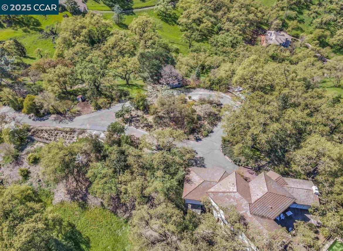 Alamo, CA 94507,100 Los Balcones