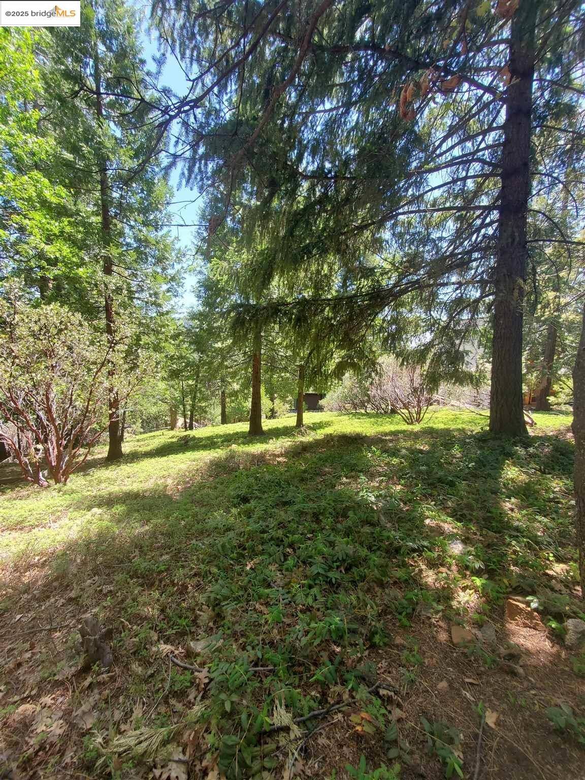 Mi Wuk Village, CA 95346,20922 Muheli