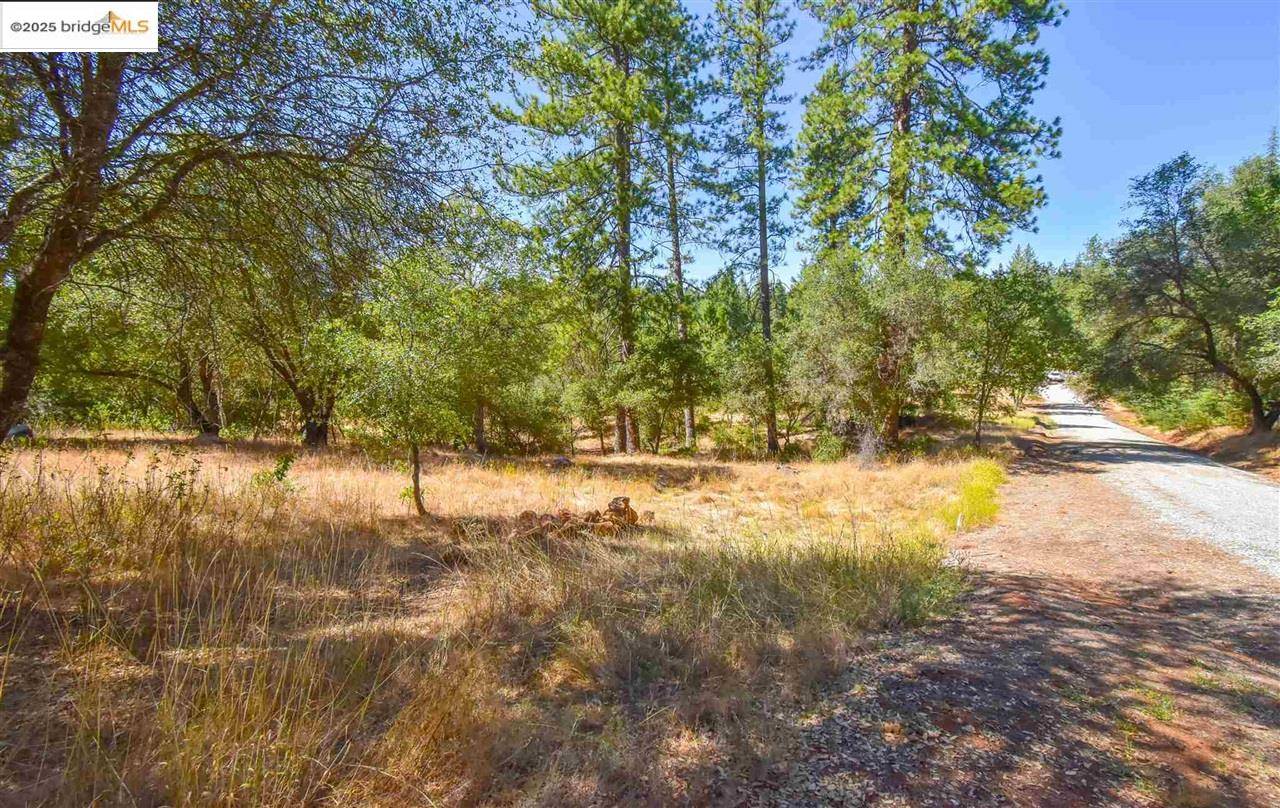 Sonora, CA 95370,Par B Sawmill Flat