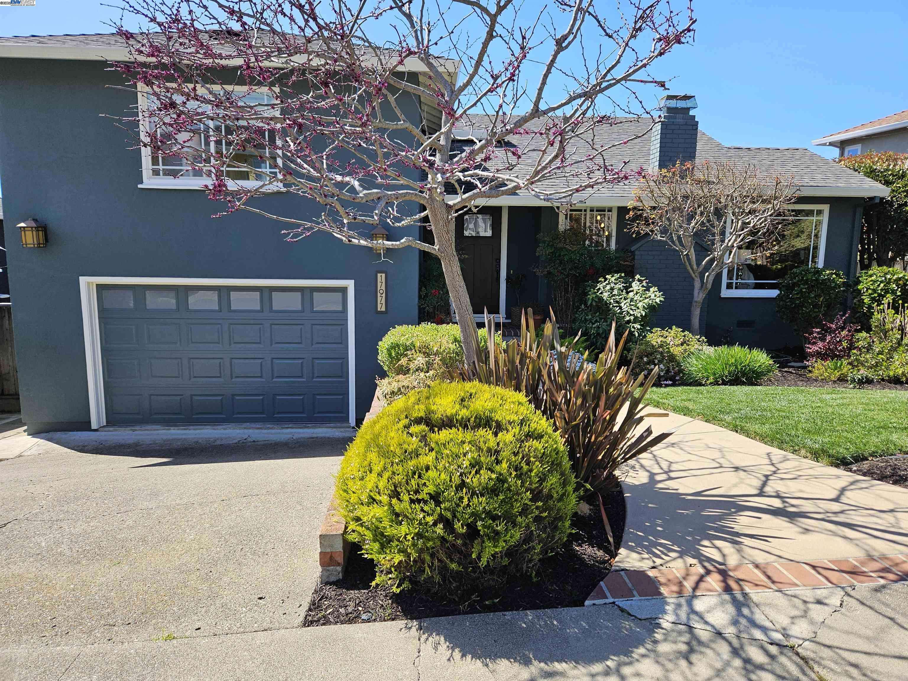 Castro Valley, CA 94546,17977 Kingston Way