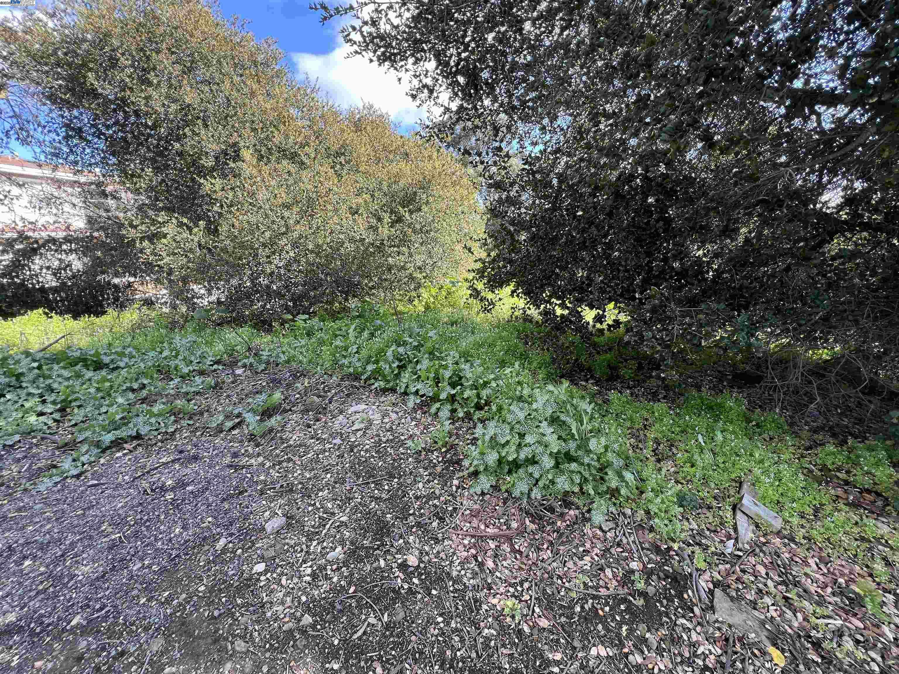 Castro Valley, CA 94546,0 Jensen Rd