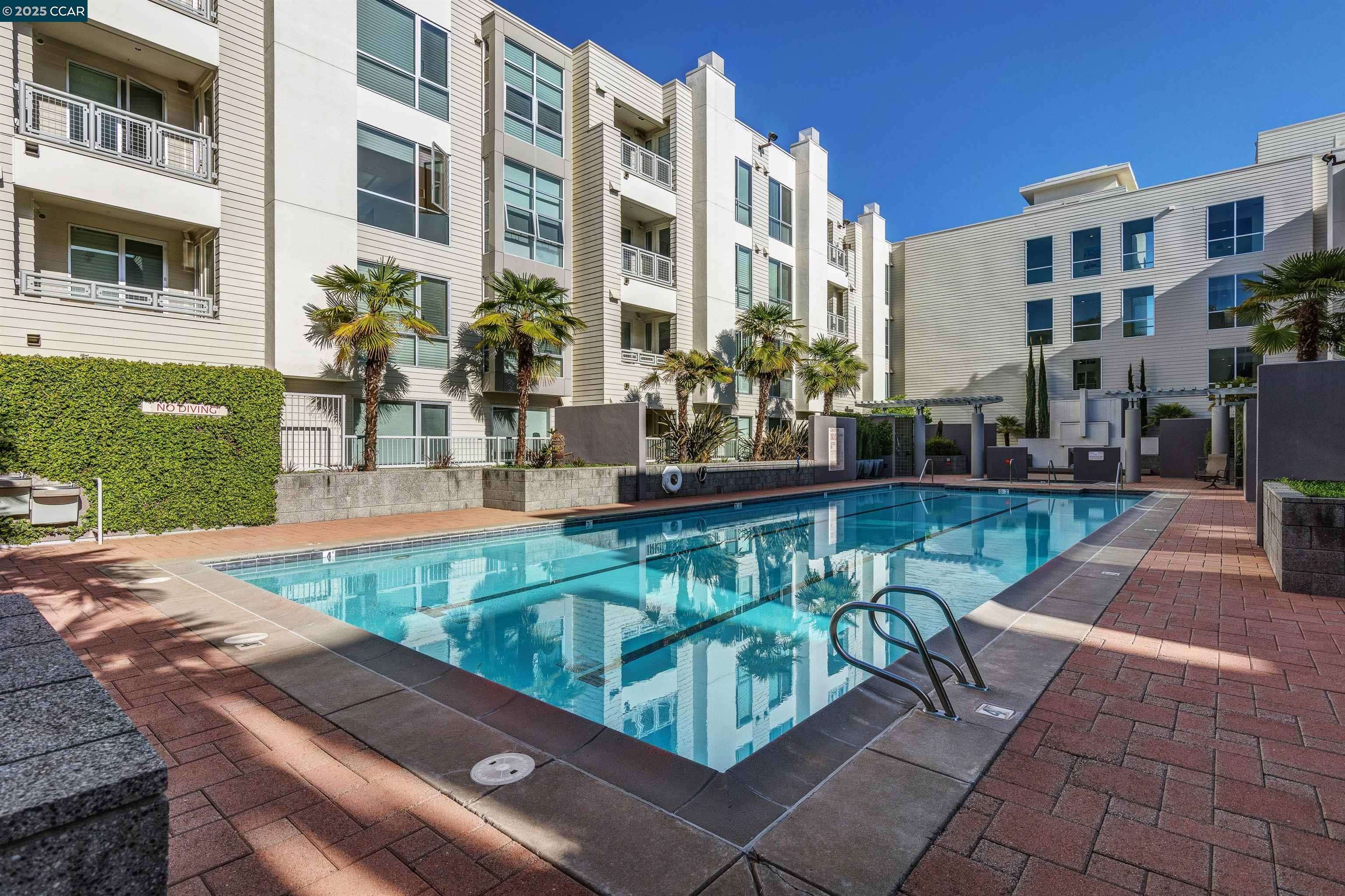 Walnut Creek, CA 94596,1655 N California Blvd #312