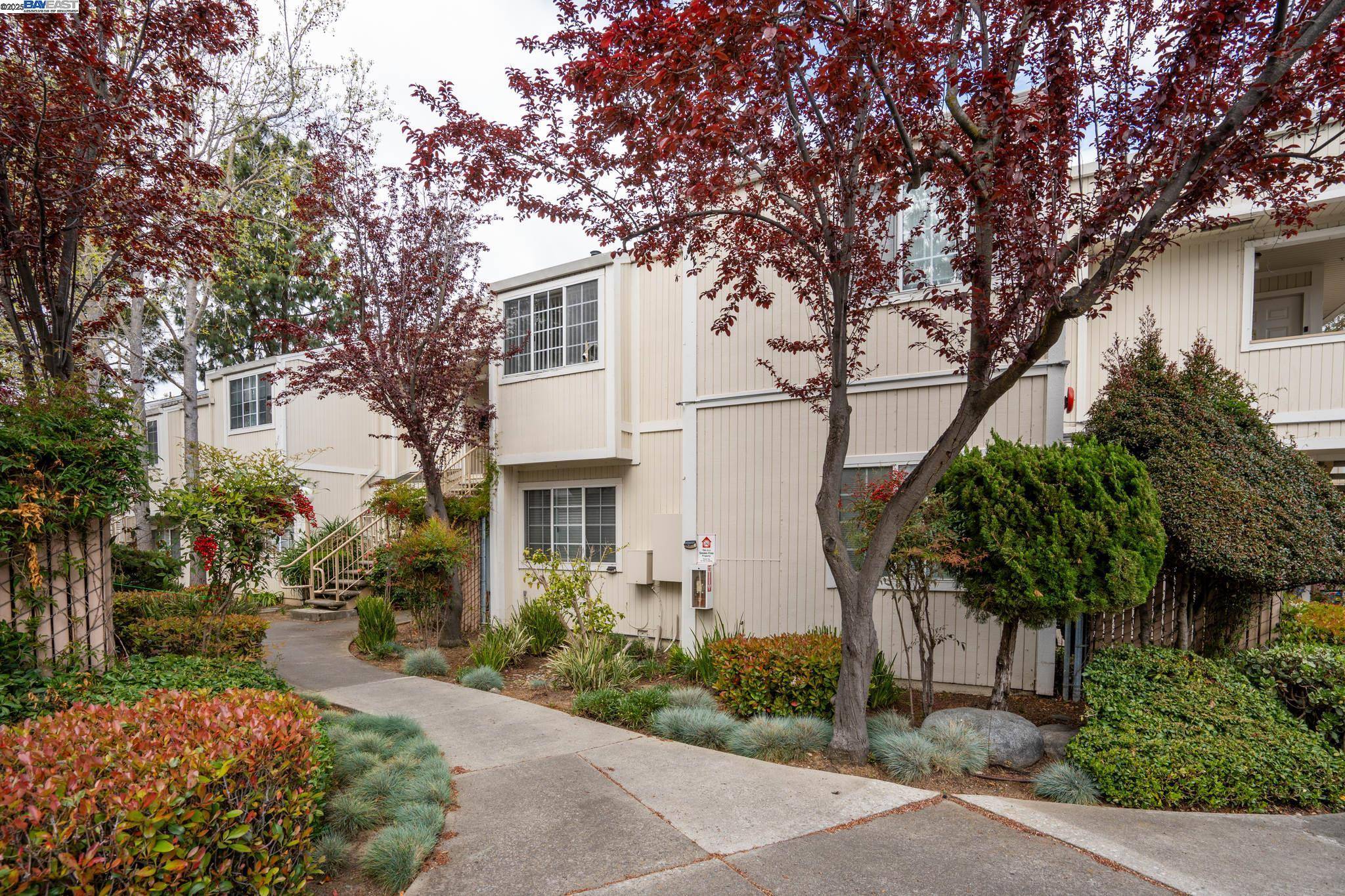 Hayward, CA 94541,22537 Center Street