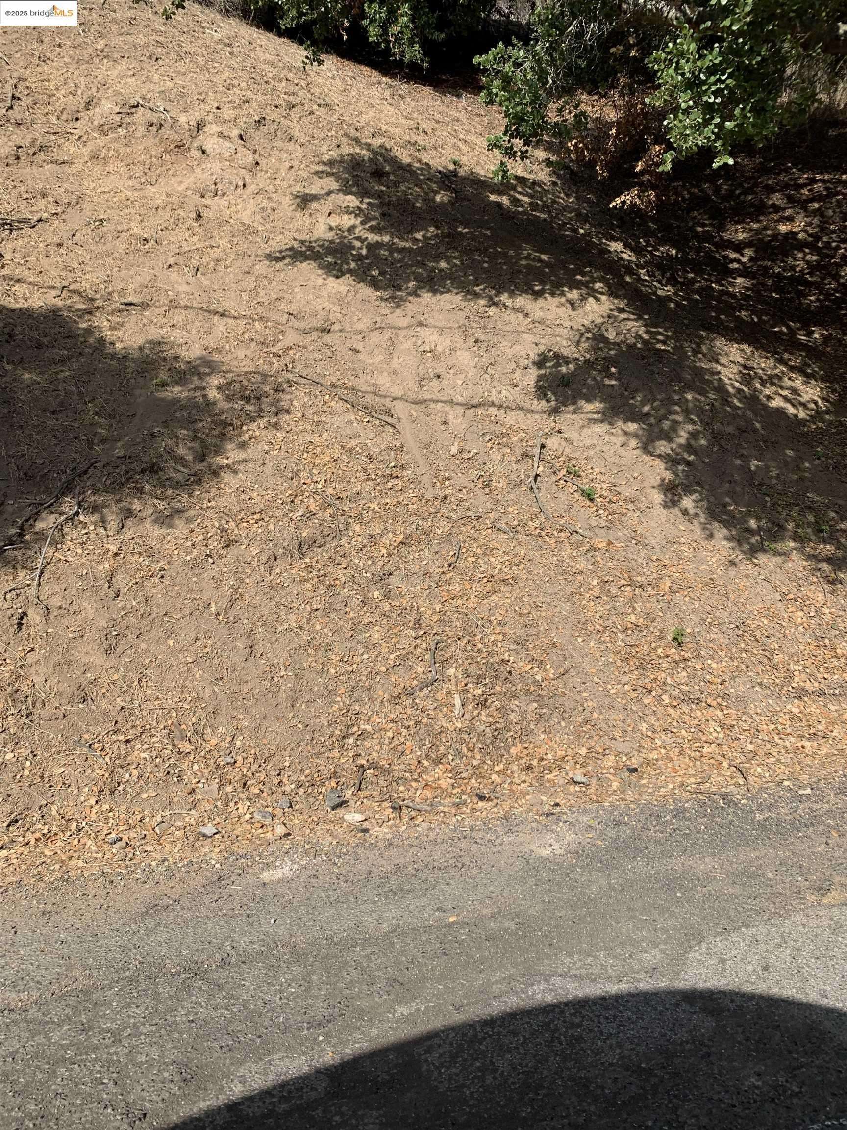 Oakland, CA 94611,7247 Thorndale Dr