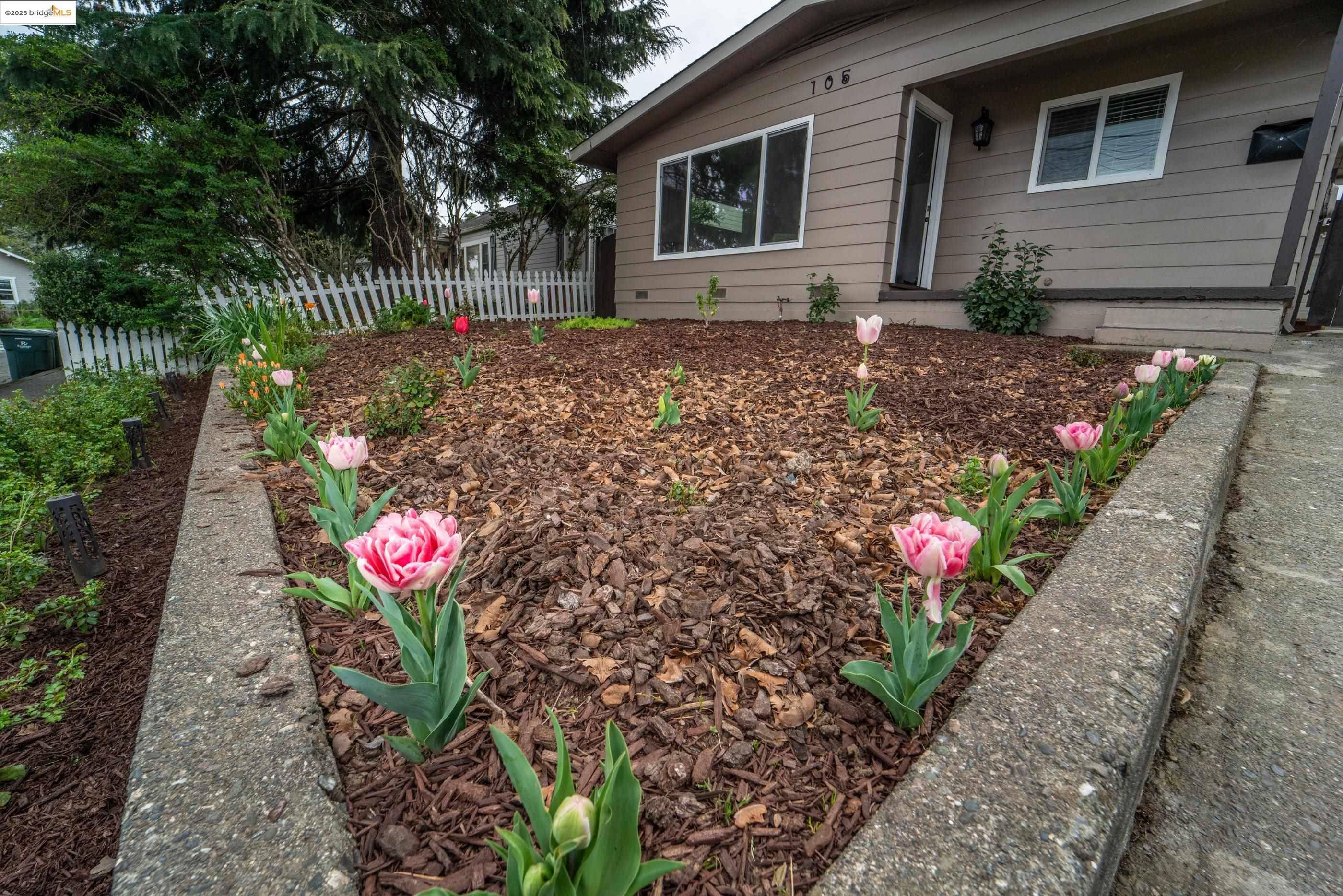 Petaluma, CA 94952,105 Webster St