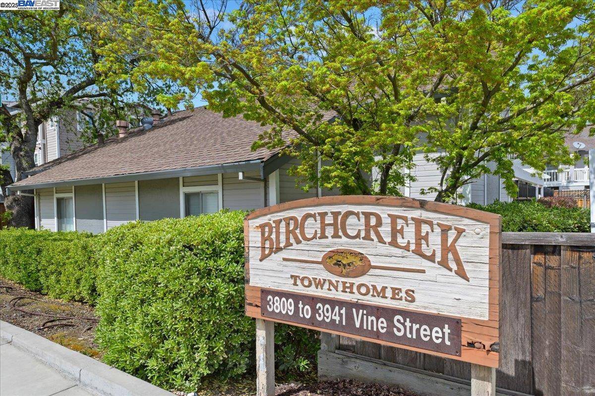 Pleasanton, CA 94566,3941 Vine St
