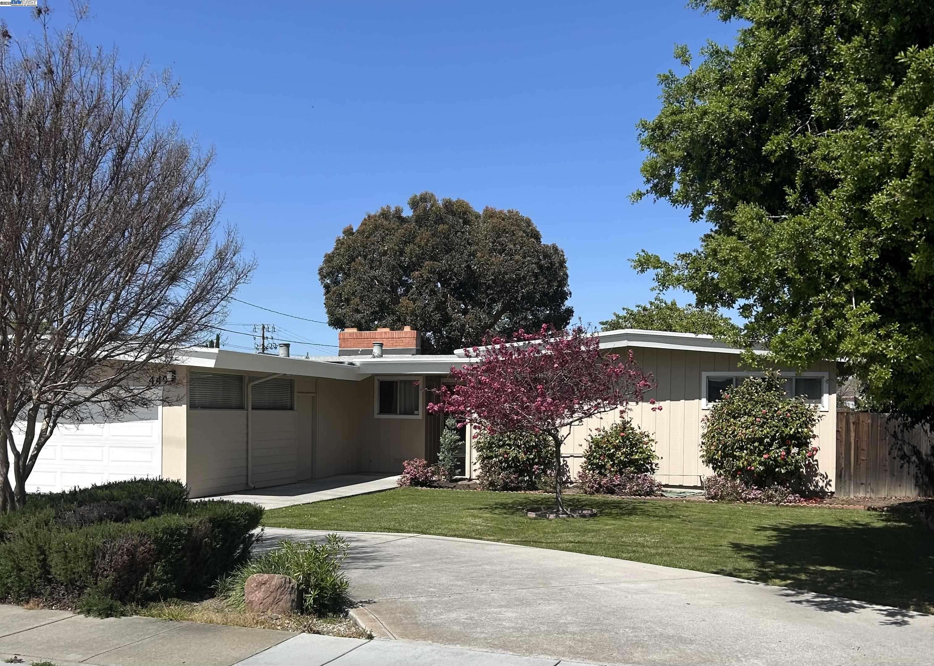 Fremont, CA 94536,449 Walnut Ave