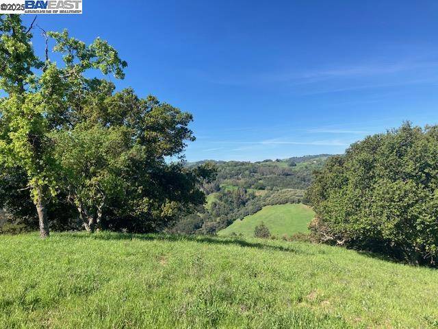 Martinez, CA 94553,0 Wanda Way
