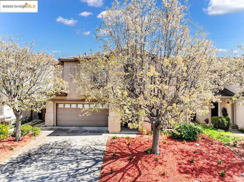Antioch, CA 94509,2079 Redbud Way