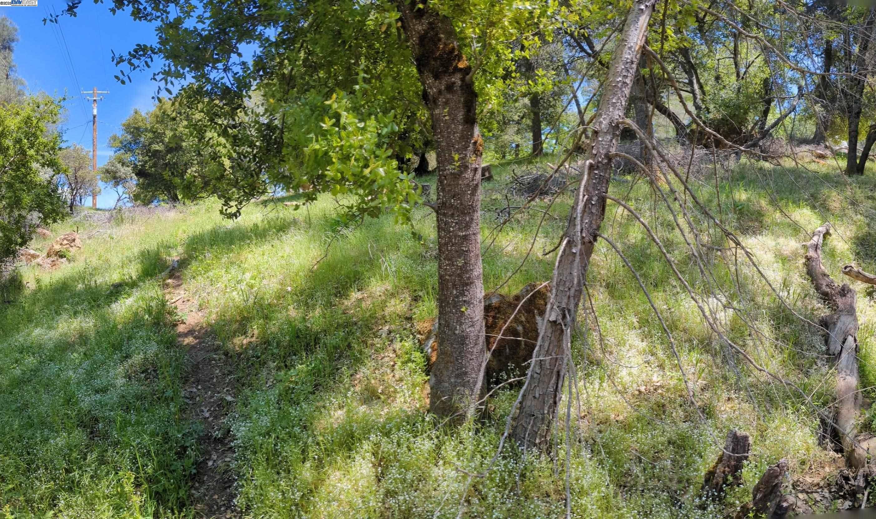 Sonora, CA 95370,21201 Crystal Falls Dr