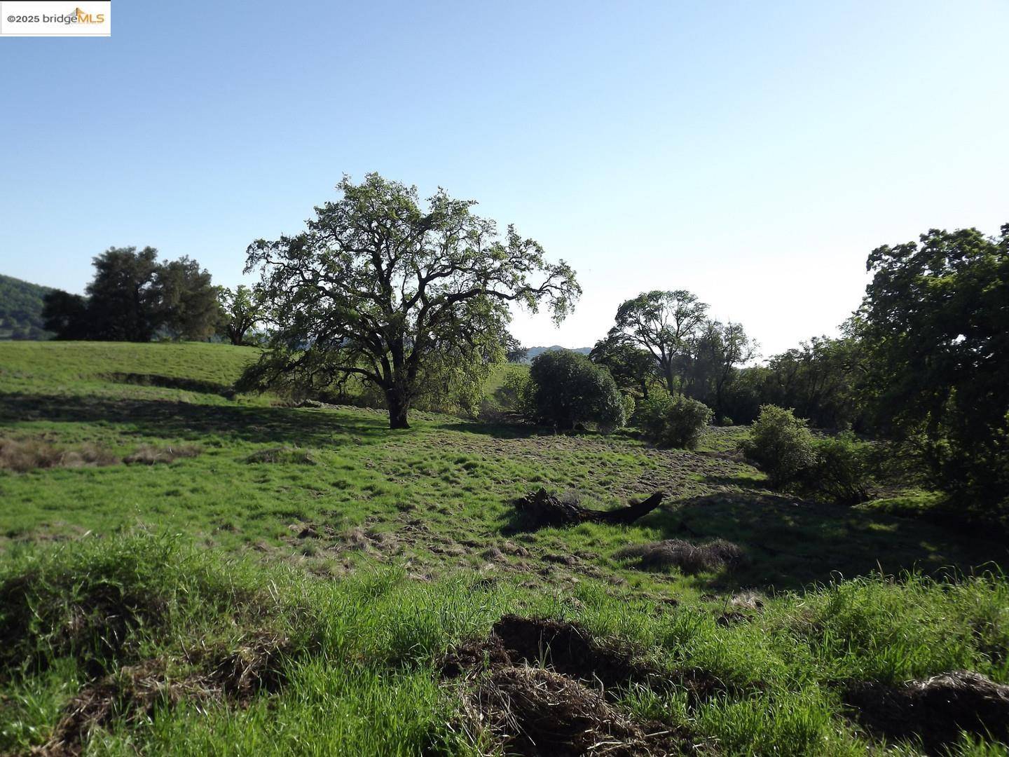 Cloverdale, CA 95425,39305 Pine Mountain RD