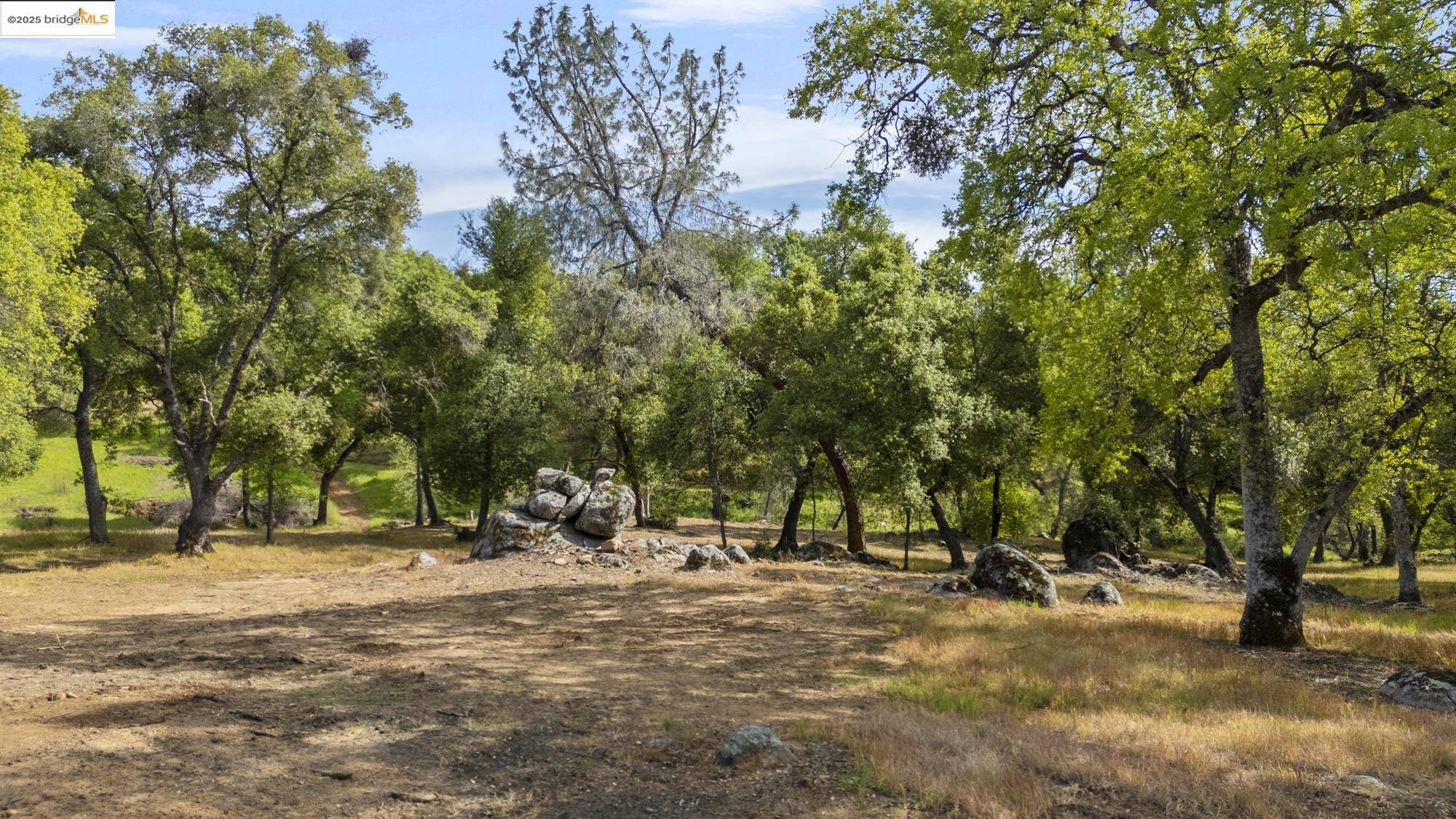 Sonora, CA 95370,Lot 9 Henry D Court