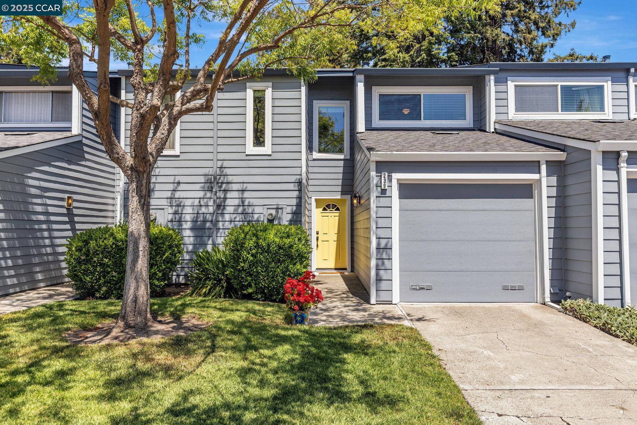 Danville, CA 94526,239 Ashley Cir