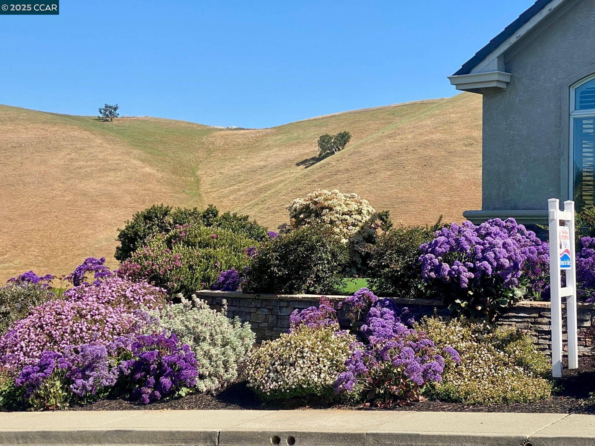 Clayton, CA 94517,1021 Pebble Beach Dr