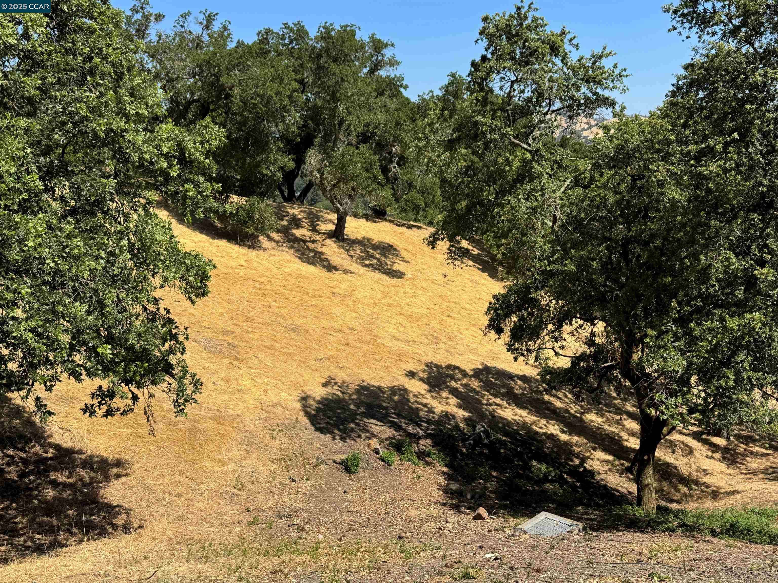 Lafayette, CA 94549,18 Diablo Oaks Way