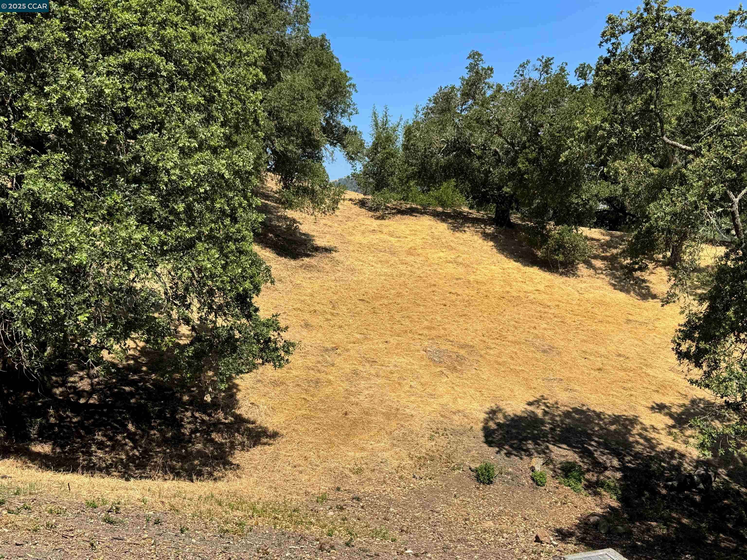 Lafayette, CA 94549,18 Diablo Oaks Way