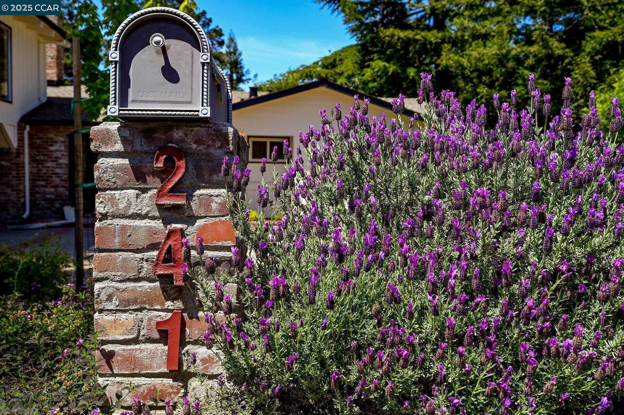Walnut Creek, CA 94598,241 Lombardi Cir
