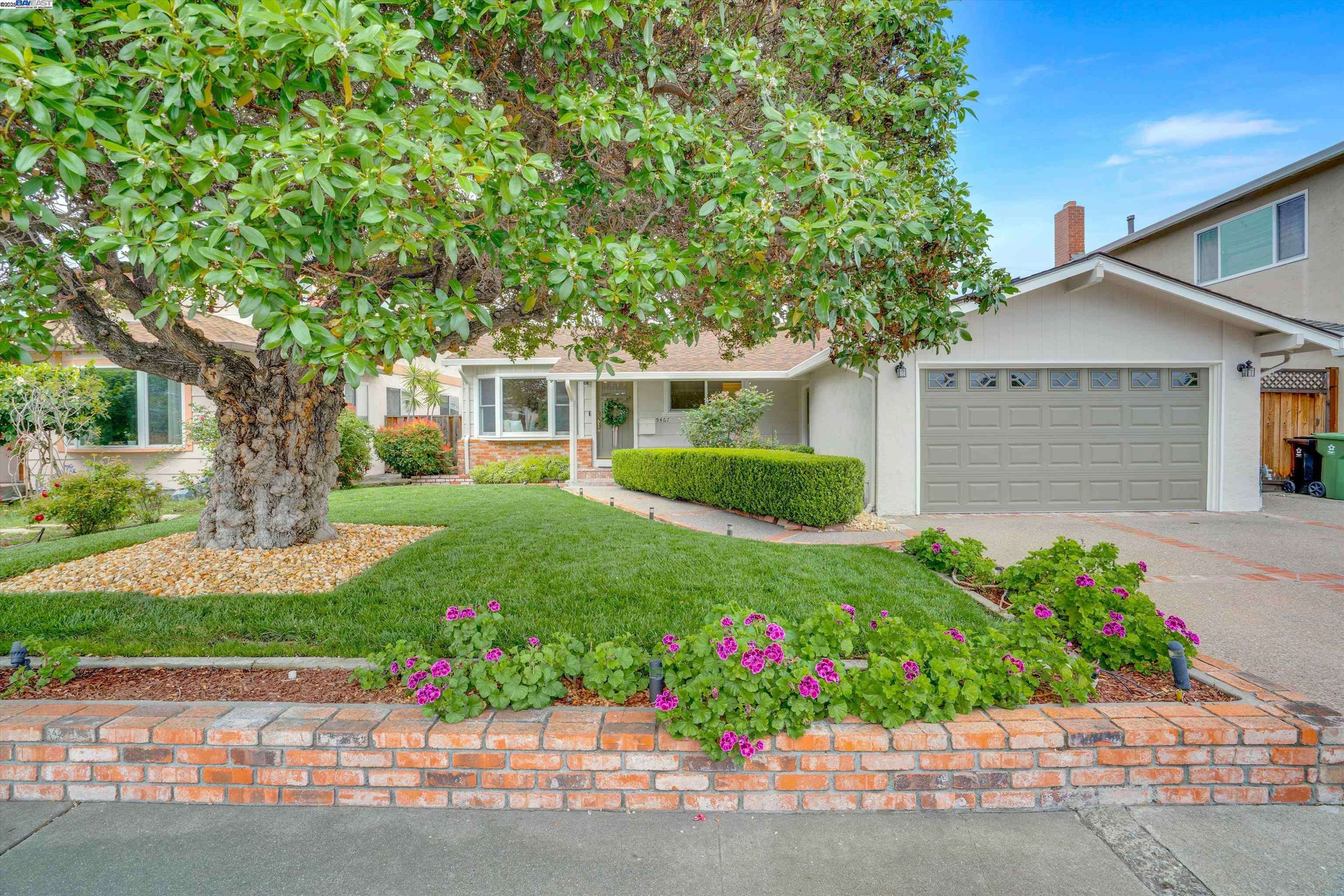 Fremont, CA 94536,5467 Borgia Rd