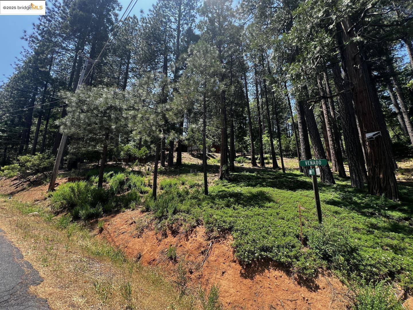 Arnold, CA 95223,2904 Venado DR