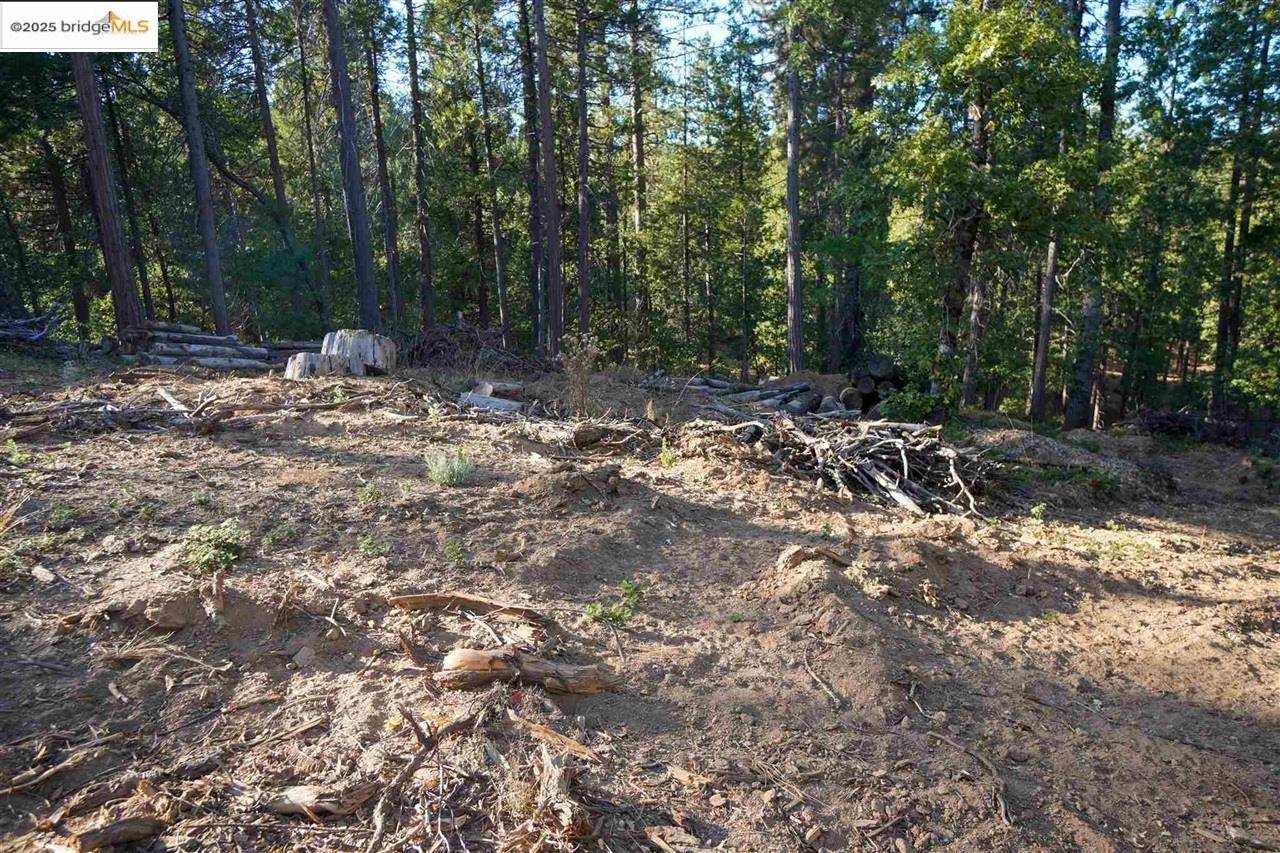 Hathaway Pines, CA 95233,169 Canyon View