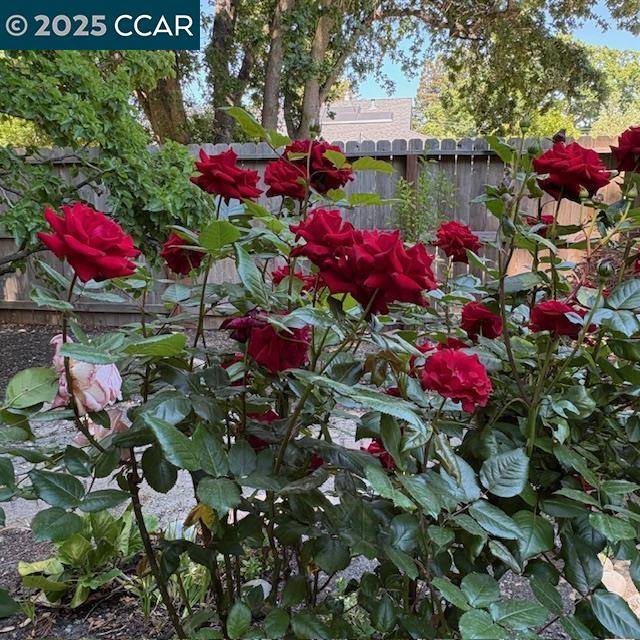 Walnut Creek, CA 94595,2150 Whyte Park Ave