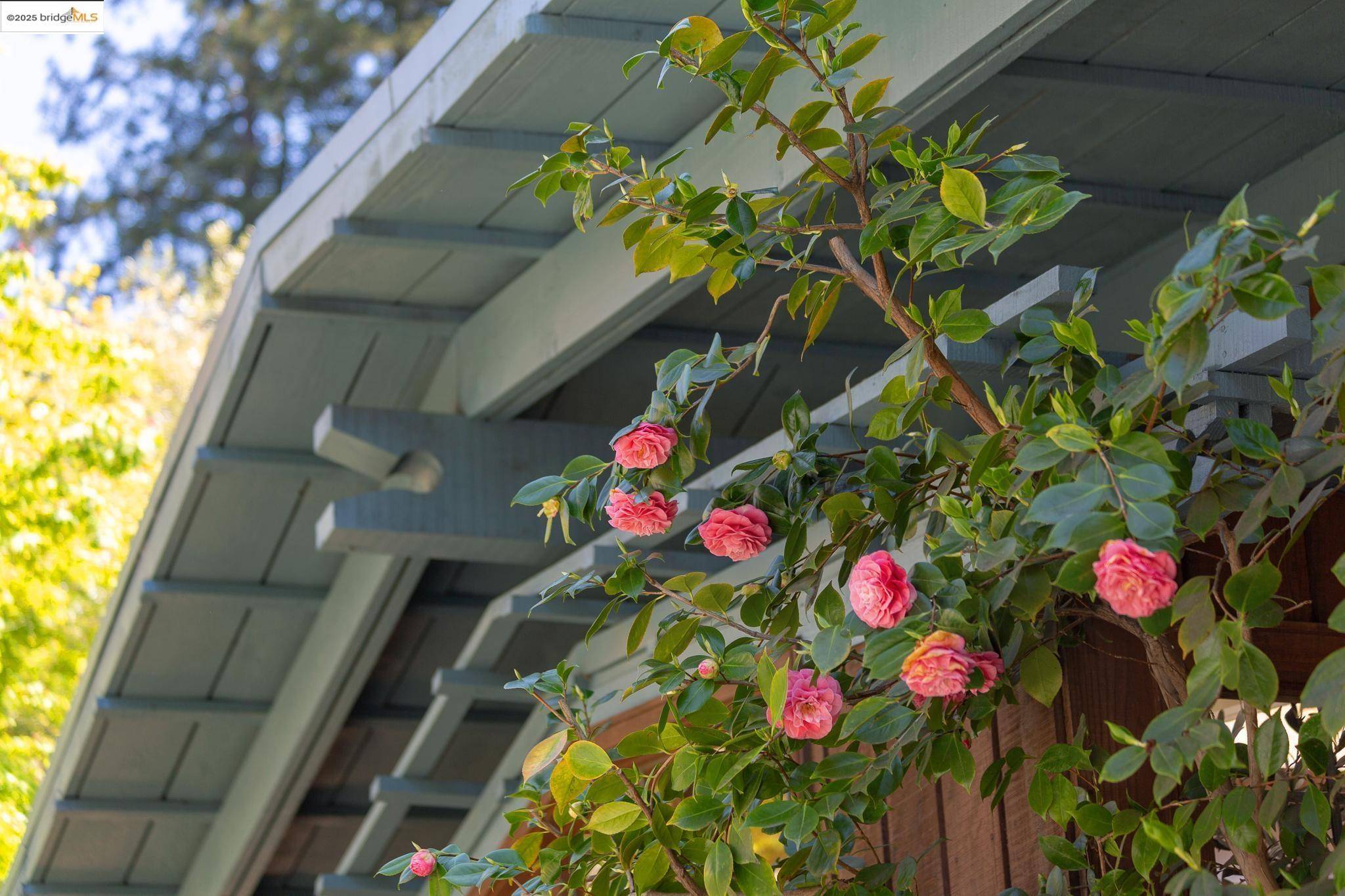 Berkeley, CA 94705,1 Roble Rd