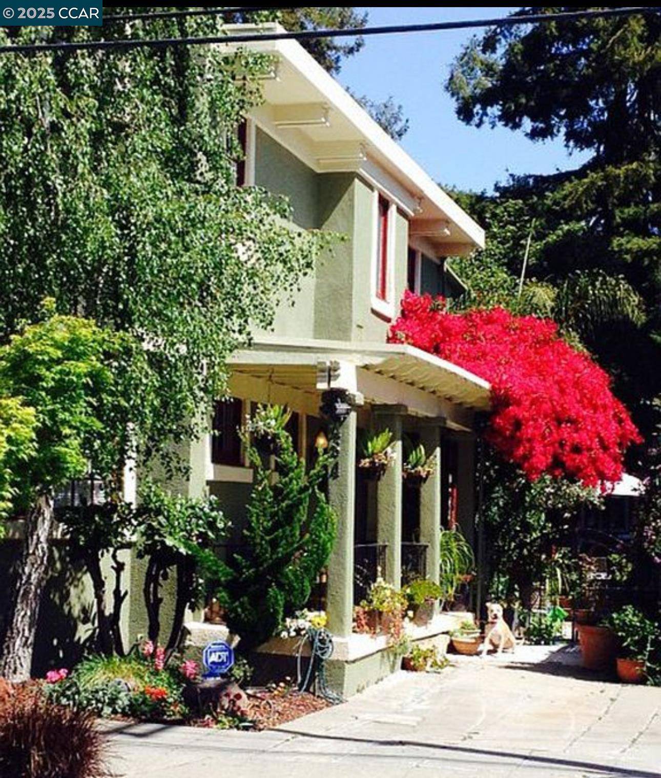 Oakland, CA 94618,484 Forest St
