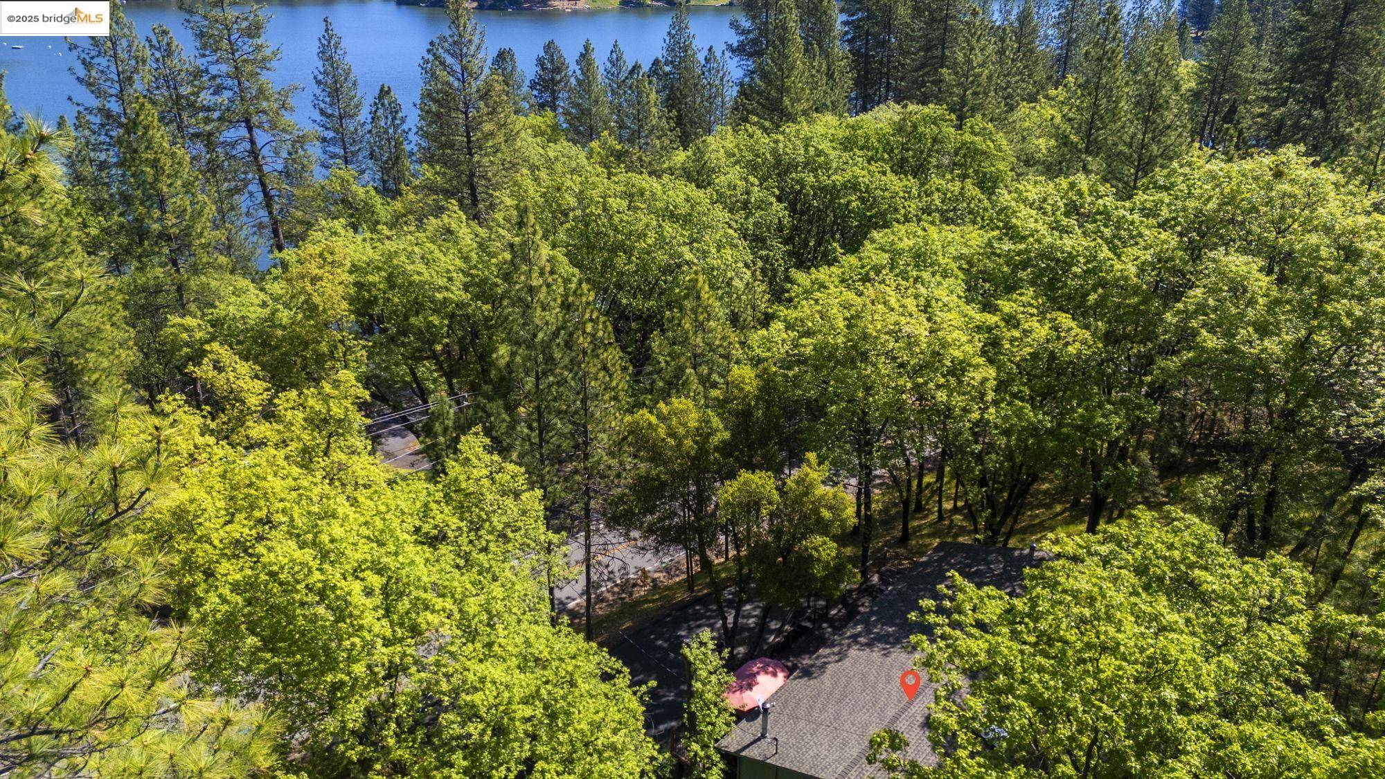 Groveland, CA 95321,19779 Pine Mountain Dr