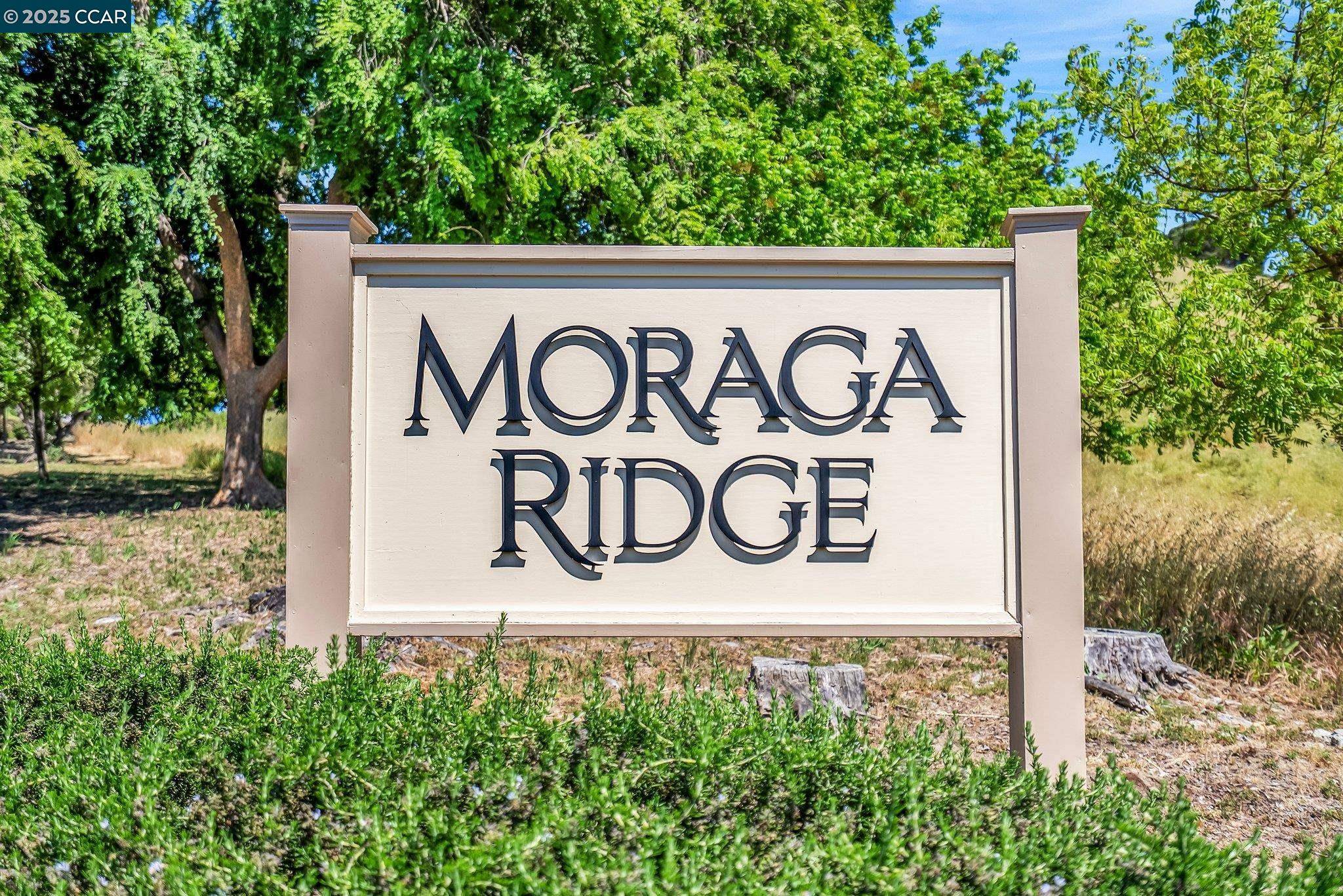 Moraga, CA 94556,117 Alta Mesa Ct