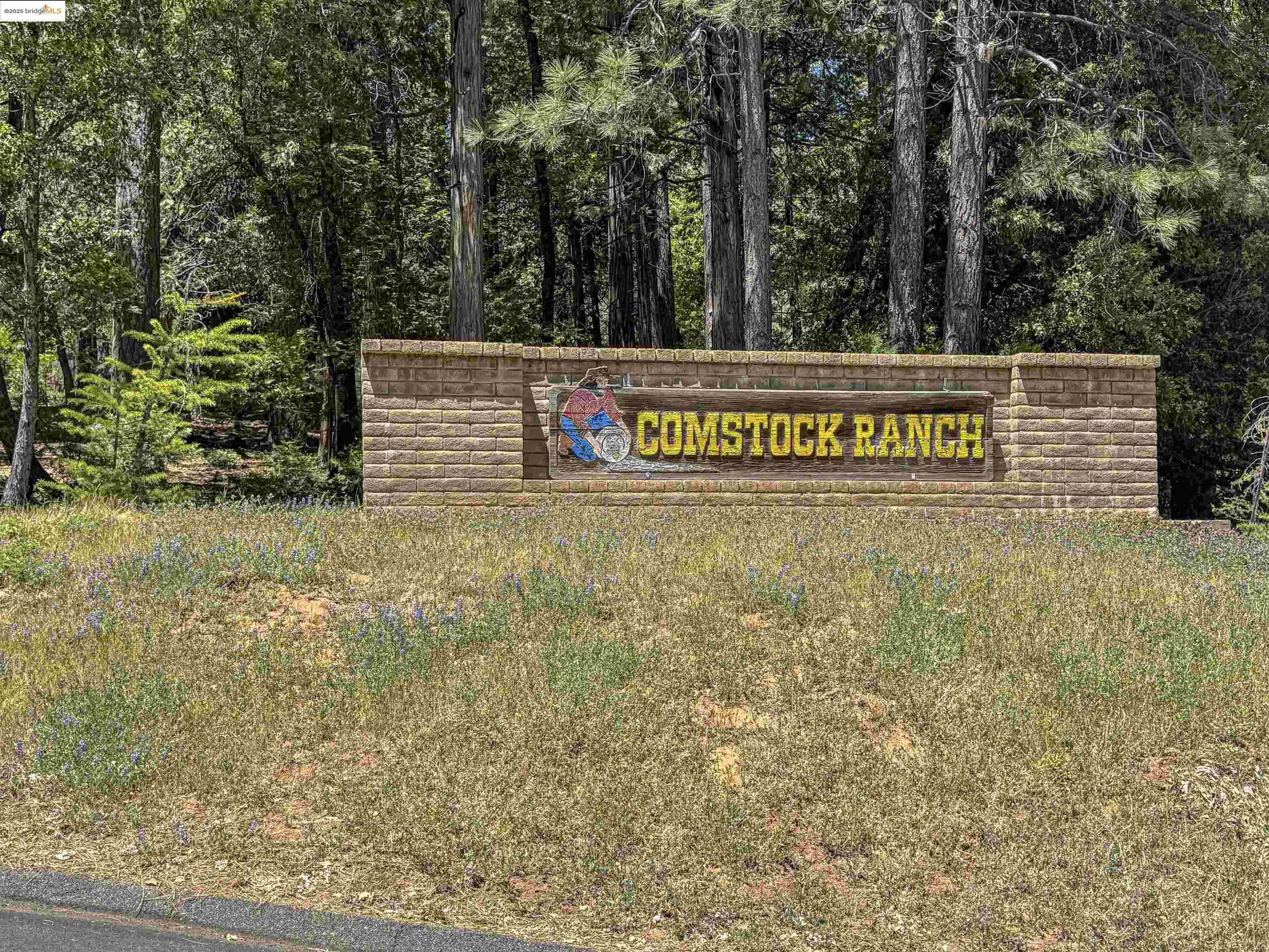Sonora, CA 95370,0 Forest Lake Rd