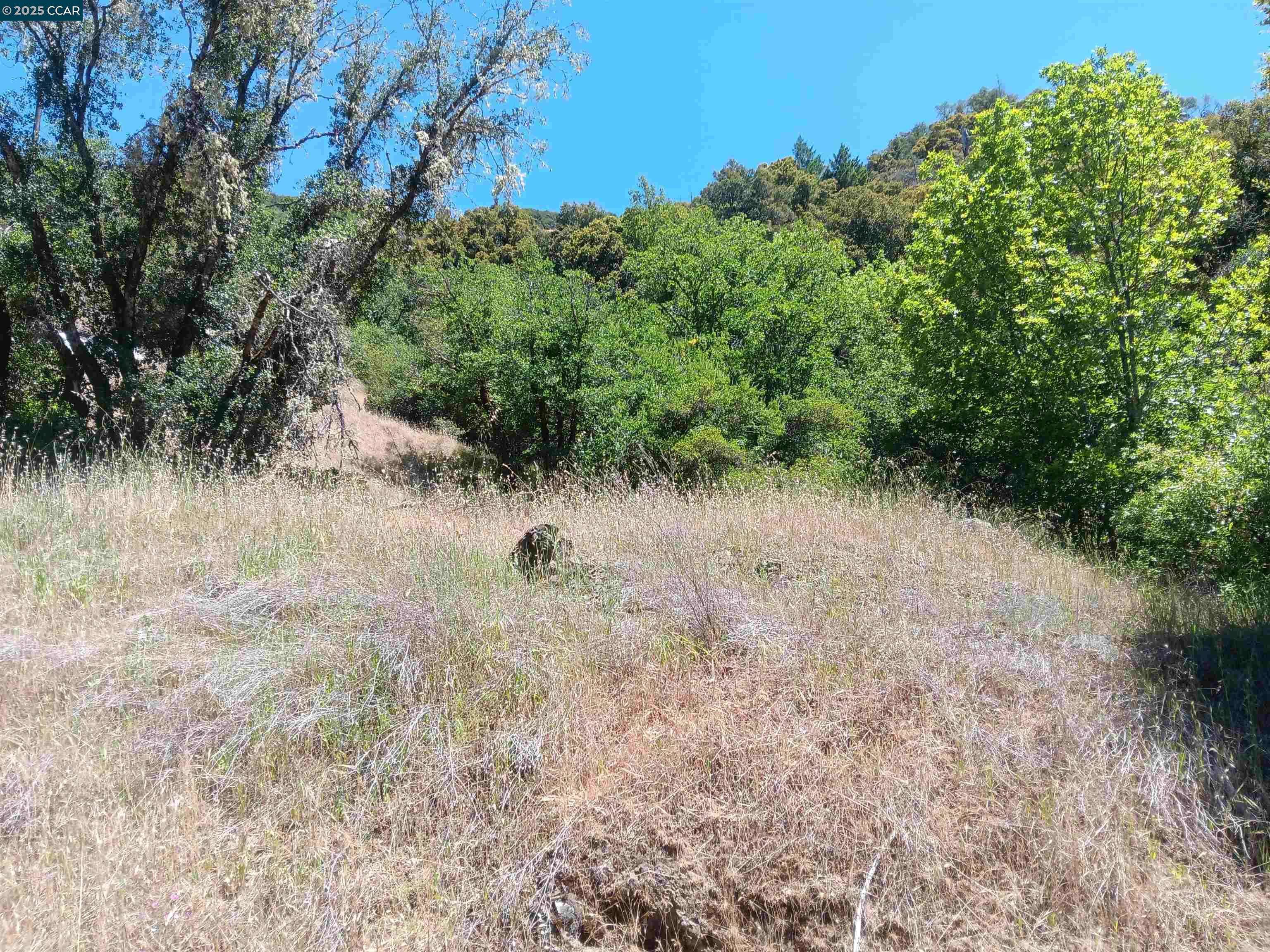 Laytonville, CA 95454,55855 Highway 101