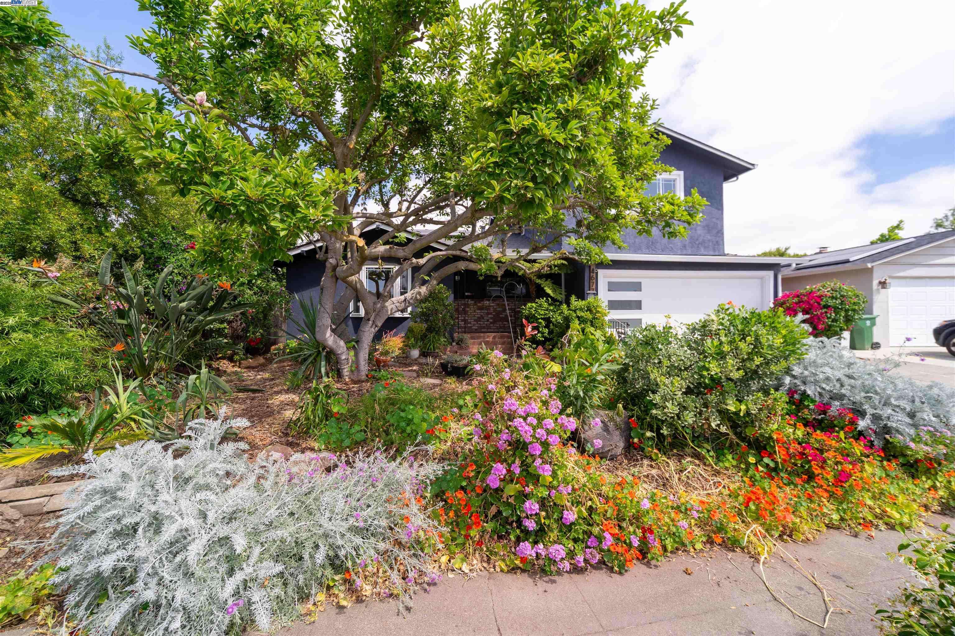 Fremont, CA 94538,4677 Piper St