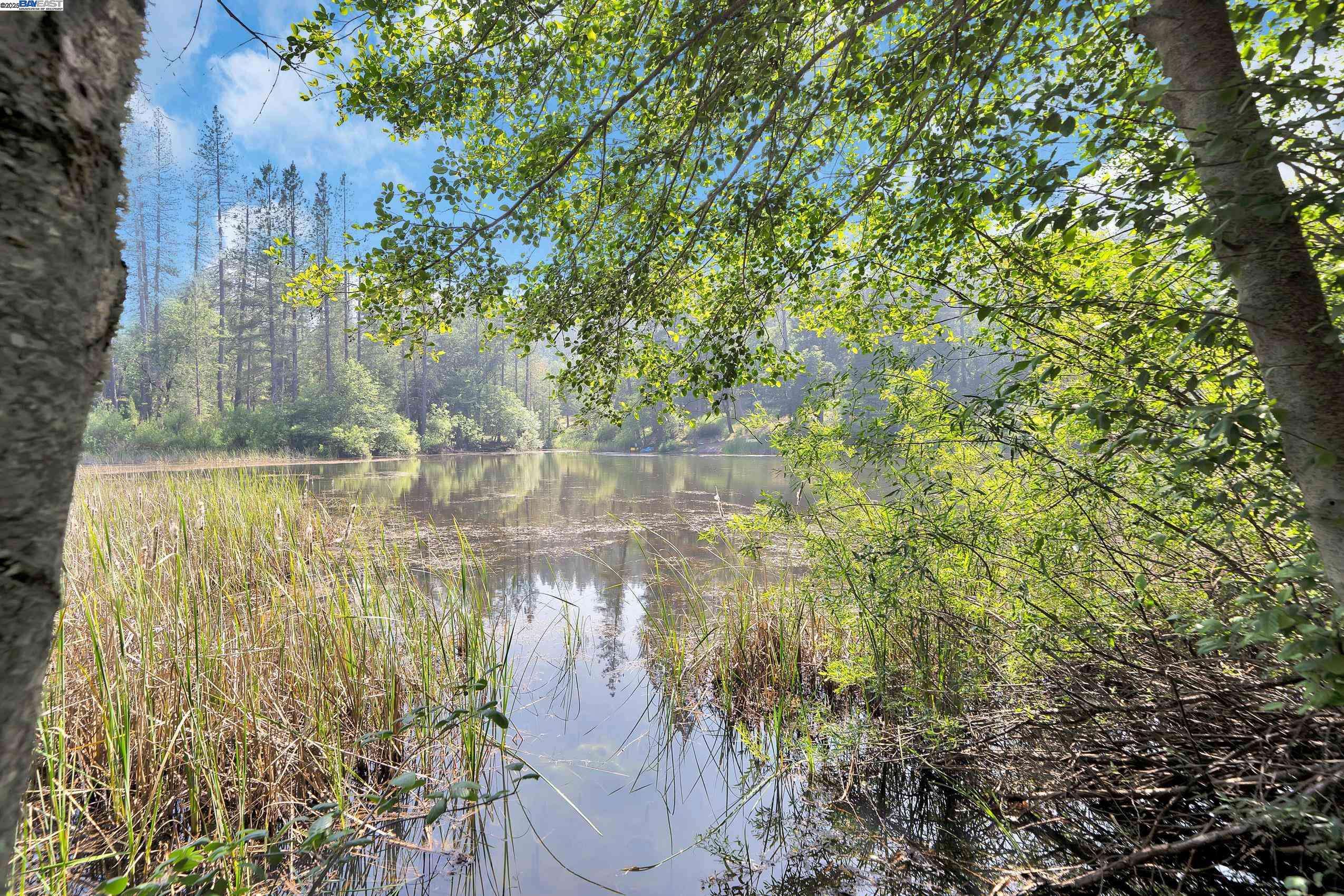 Grass Valley, CA 95945,13567 Raccoon Mountain Rd