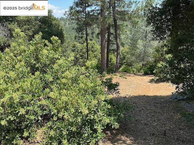 Groveland, CA 95321,Hillhurst Circle