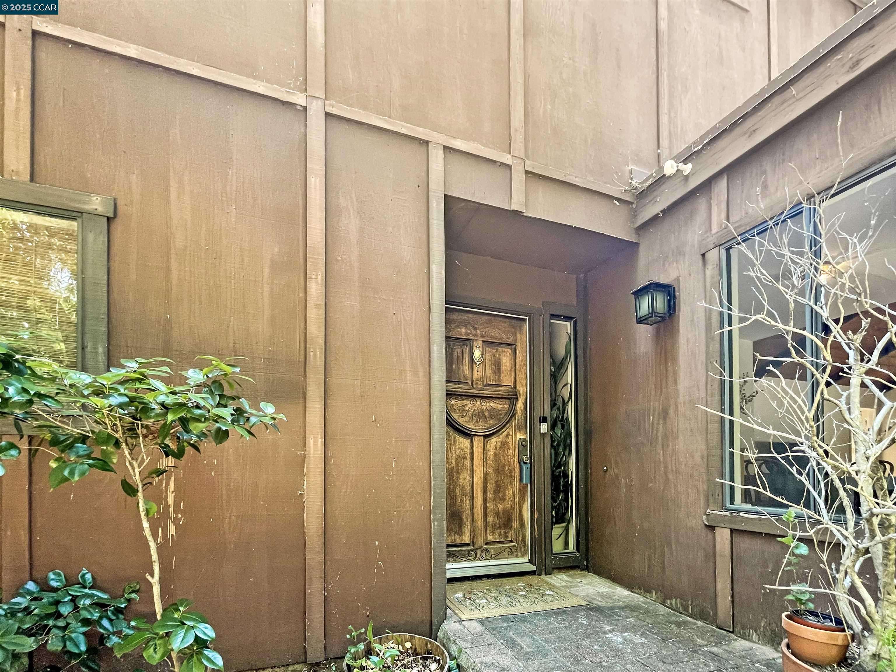 Alamo, CA 94507,54 Creek Tree Ln