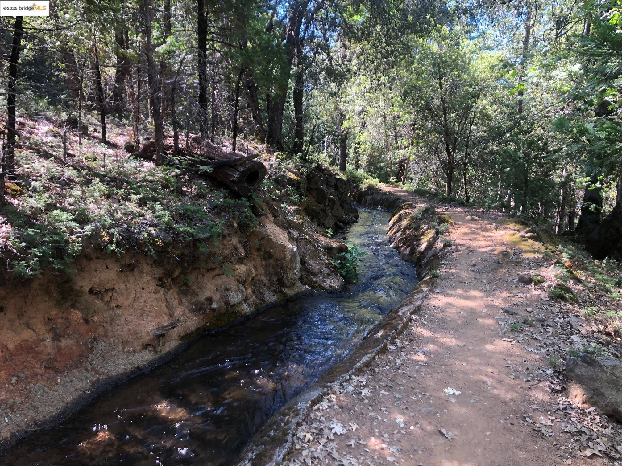 Twain Harte, CA 95383,19080 TIFFENI DR.