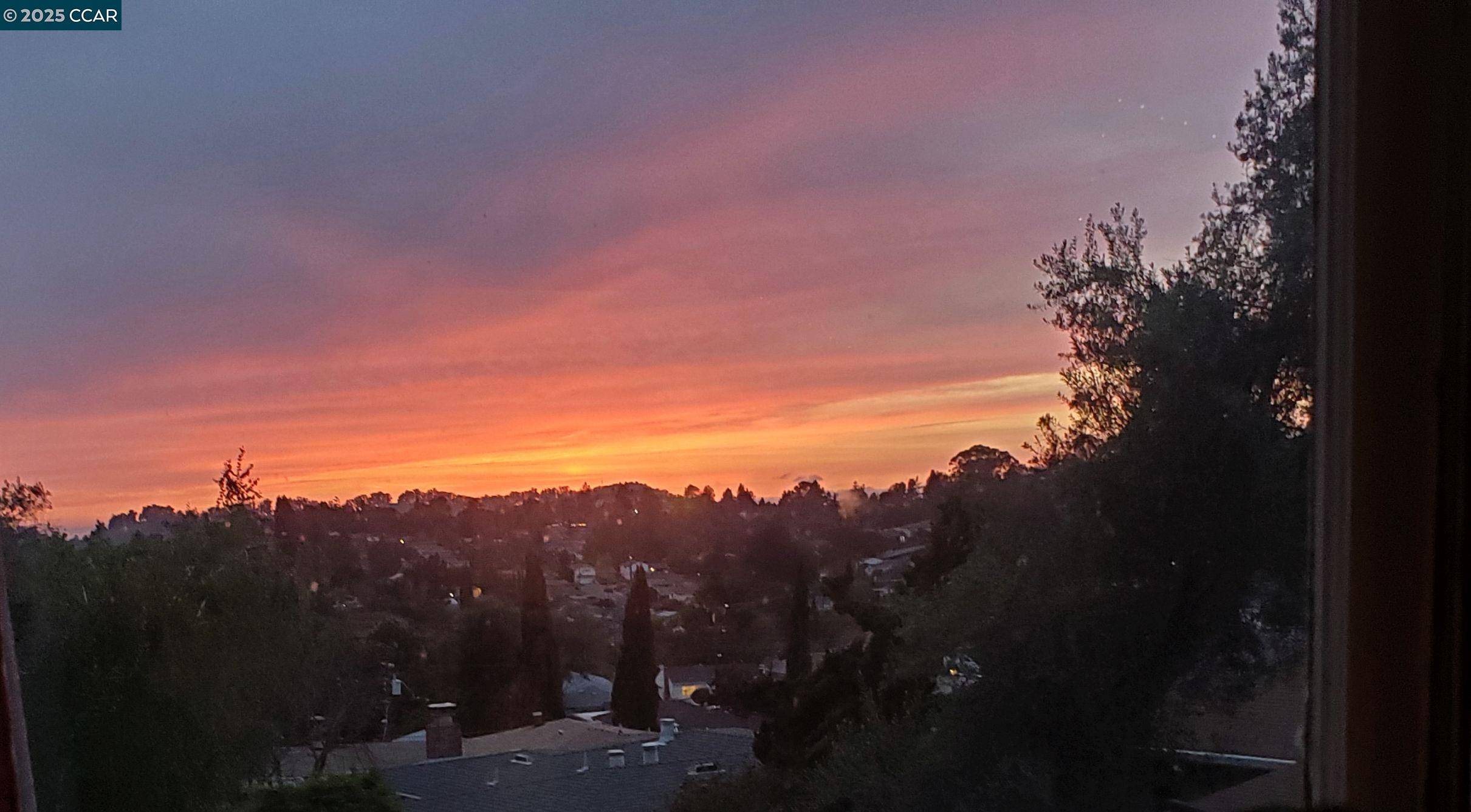 Castro Valley, CA 94546,18367 Apricot Way