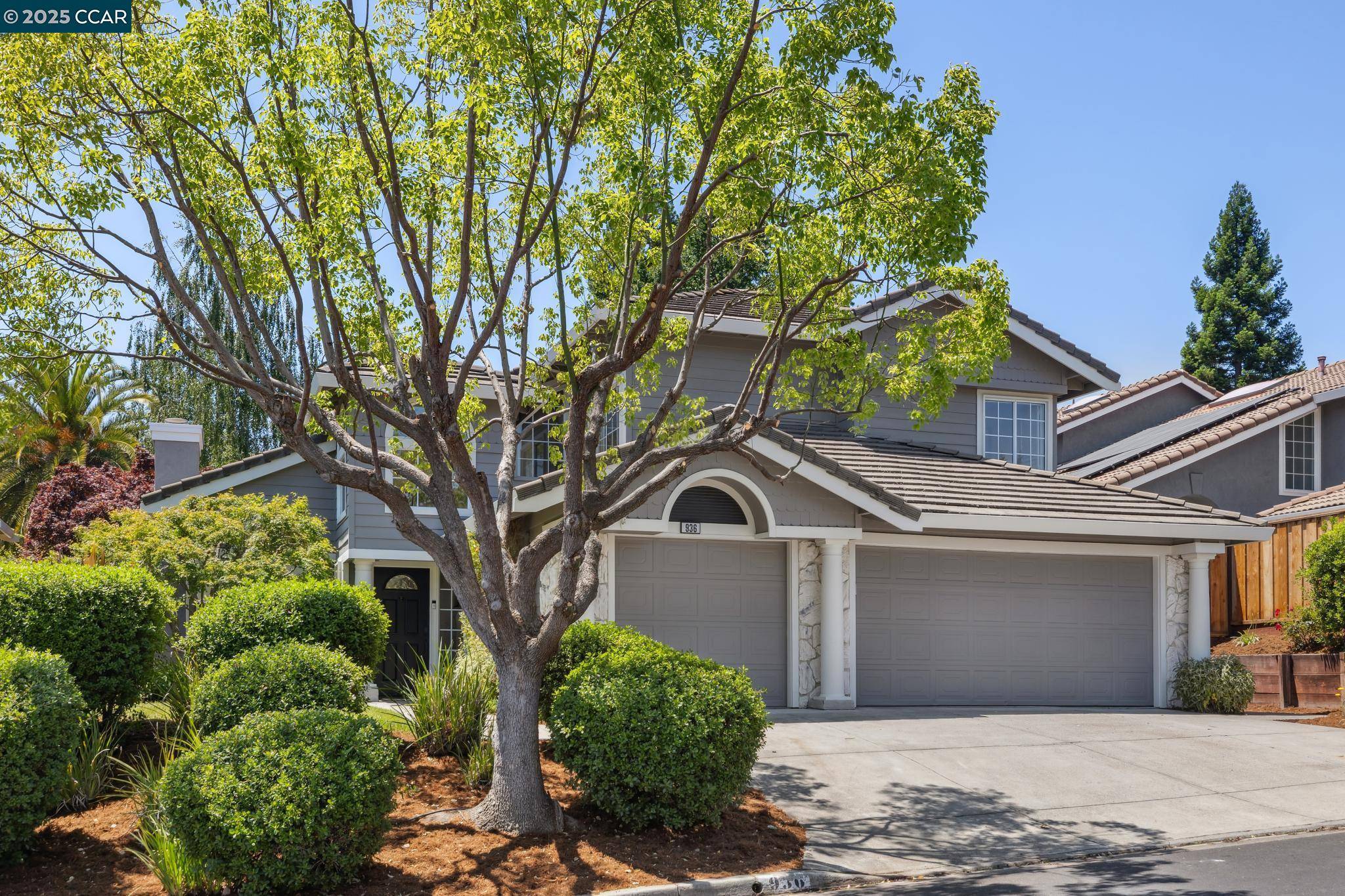 Danville, CA 94506,936 Spring Water St