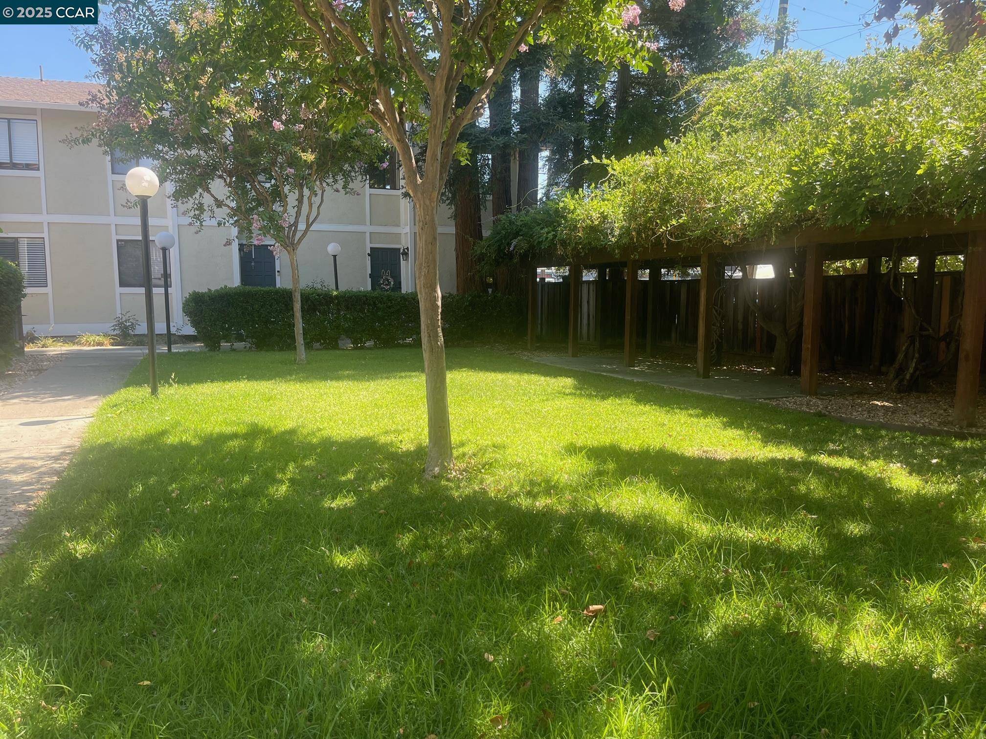 Concord, CA 94520,1140 Detroit Avenue #14
