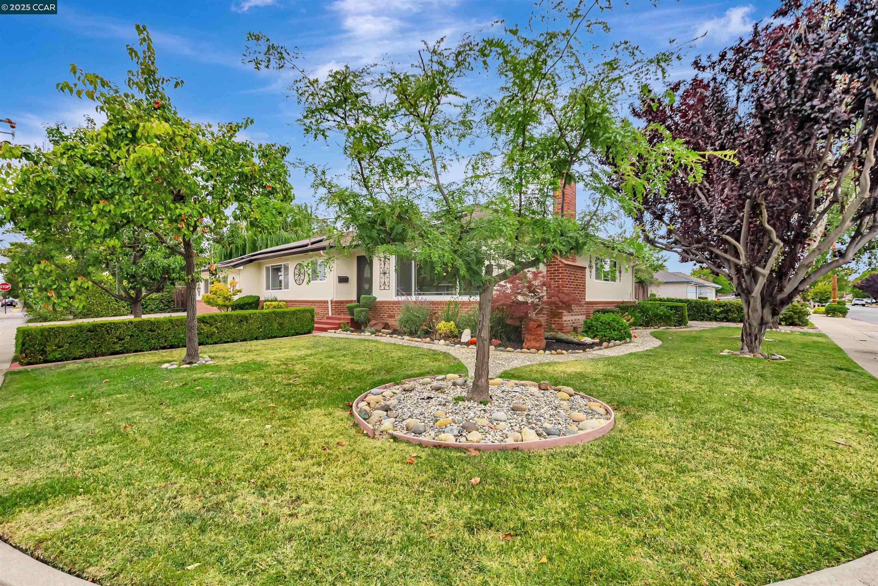 Fremont, CA 94536,37880 Farwell