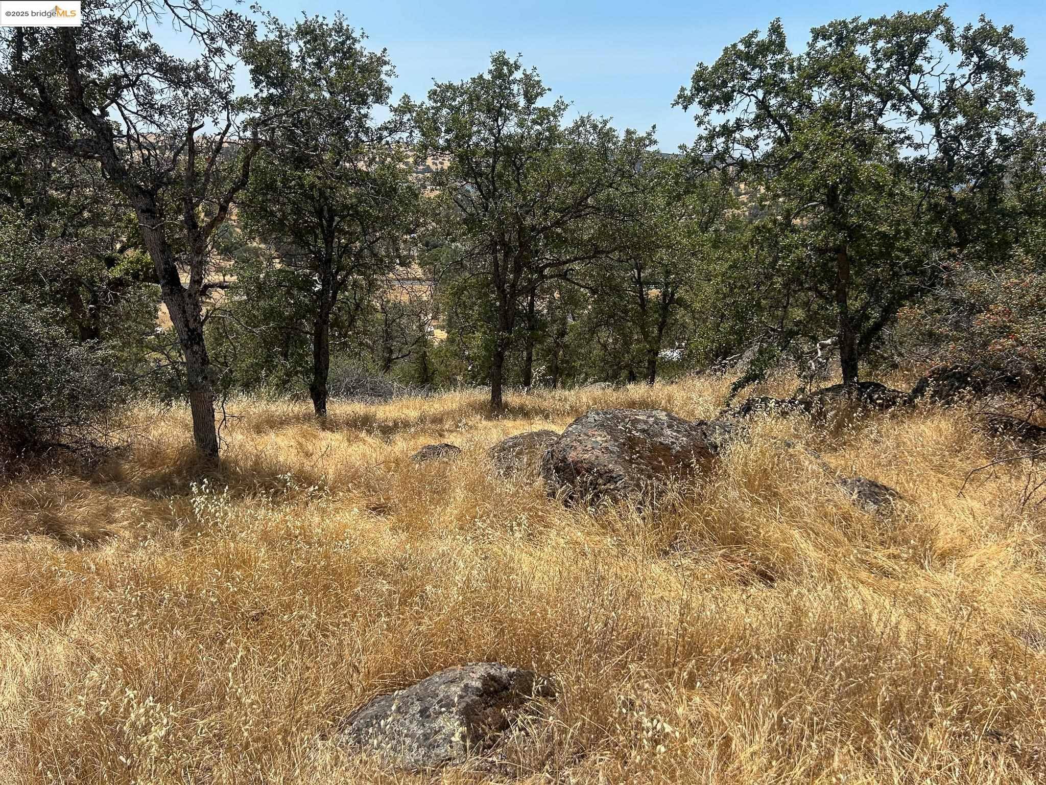 La Grange, CA 95329,850 Arbolada Drive