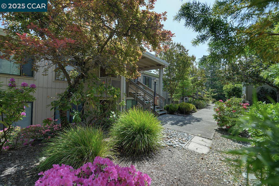 Walnut Creek, CA 94595,1300 Singingwood Ct. #3